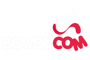 Bouducom - Création de site Internet Toulouse